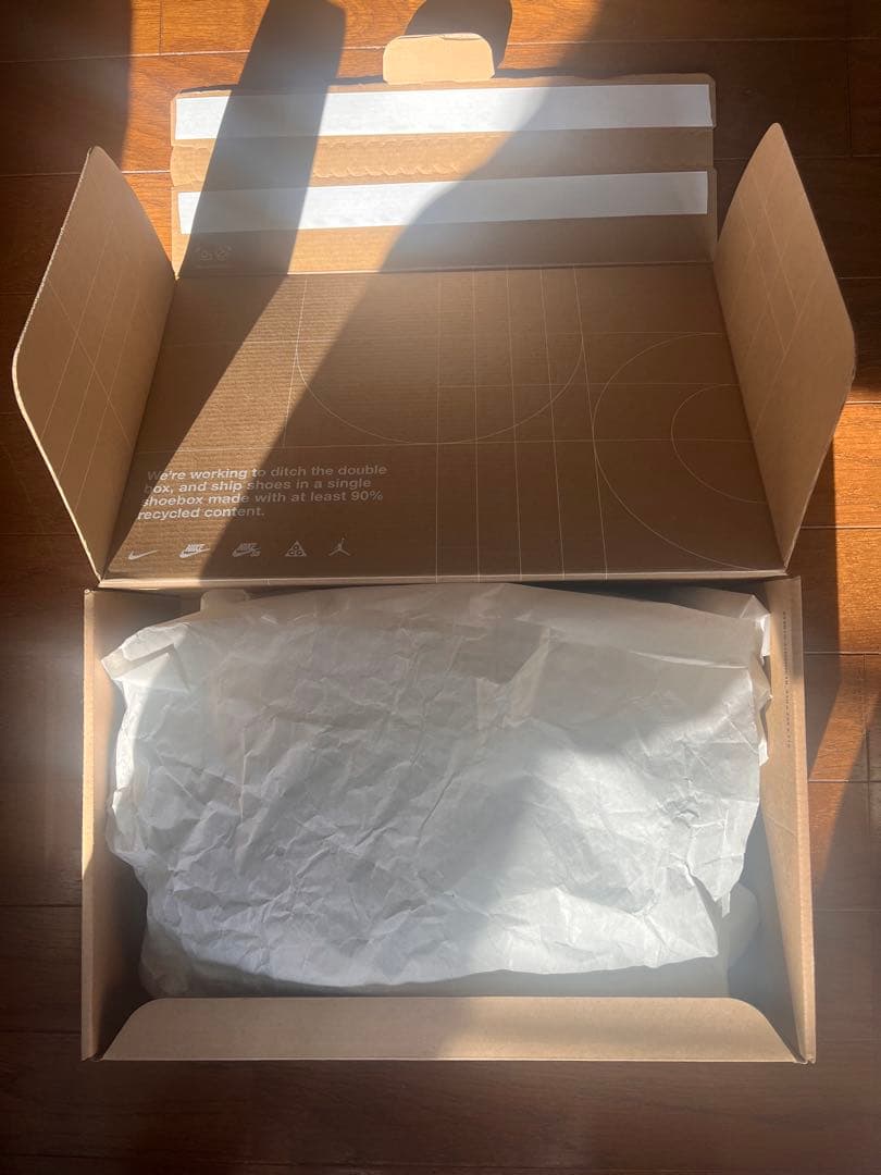 ☆25.0cm 新品☆ NIKE ZOOM FLY 5 ズームフライ5