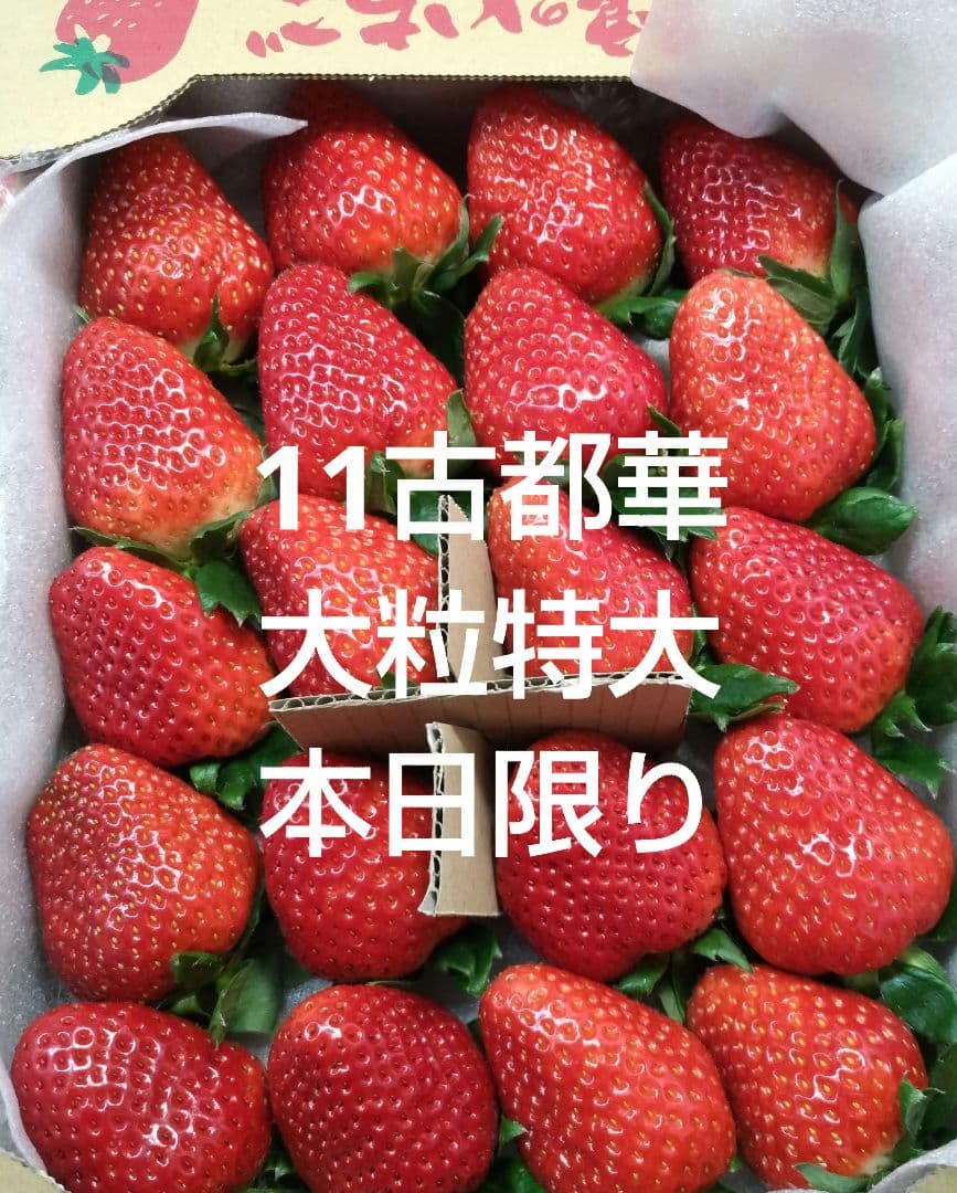 いちご11超特大大粒古都華奈良産