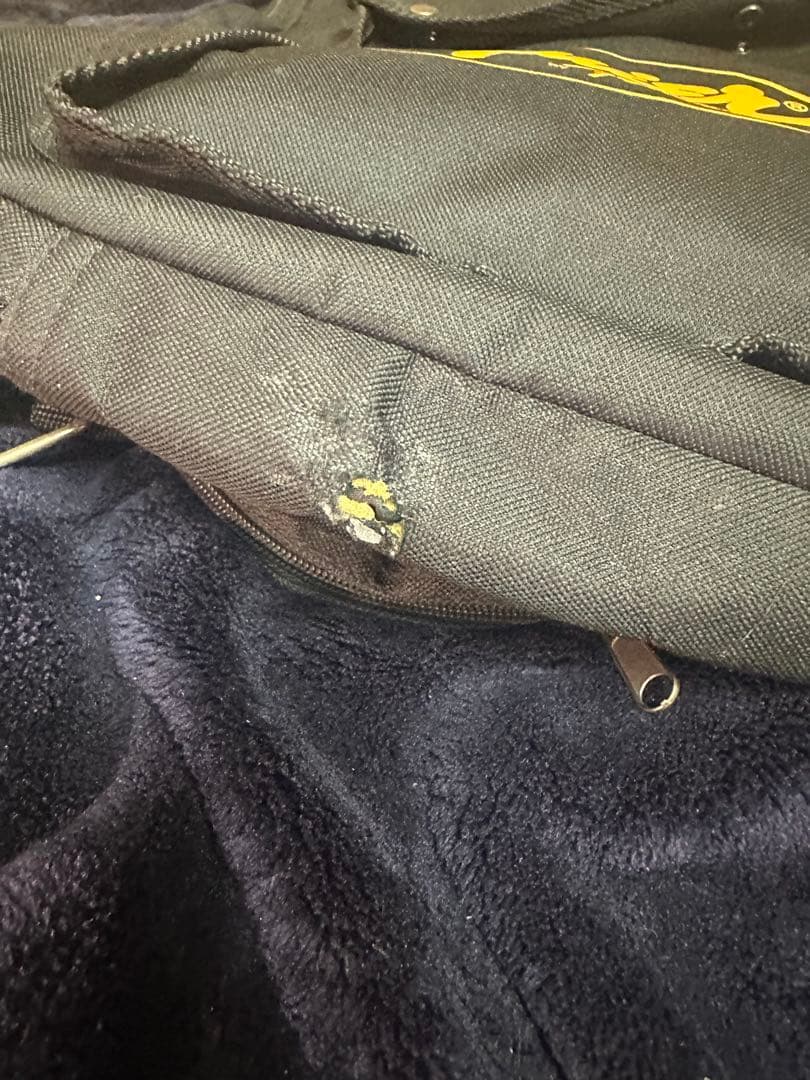 希少　ブライアンBacchus Brian エレキベース 青