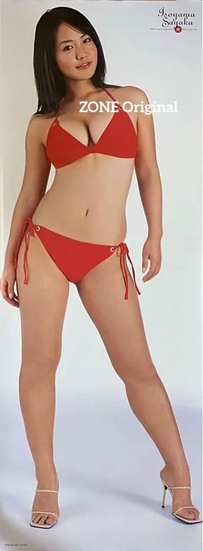 【新品】磯山さやかポスター ★プレイボーイ等身大ポスター