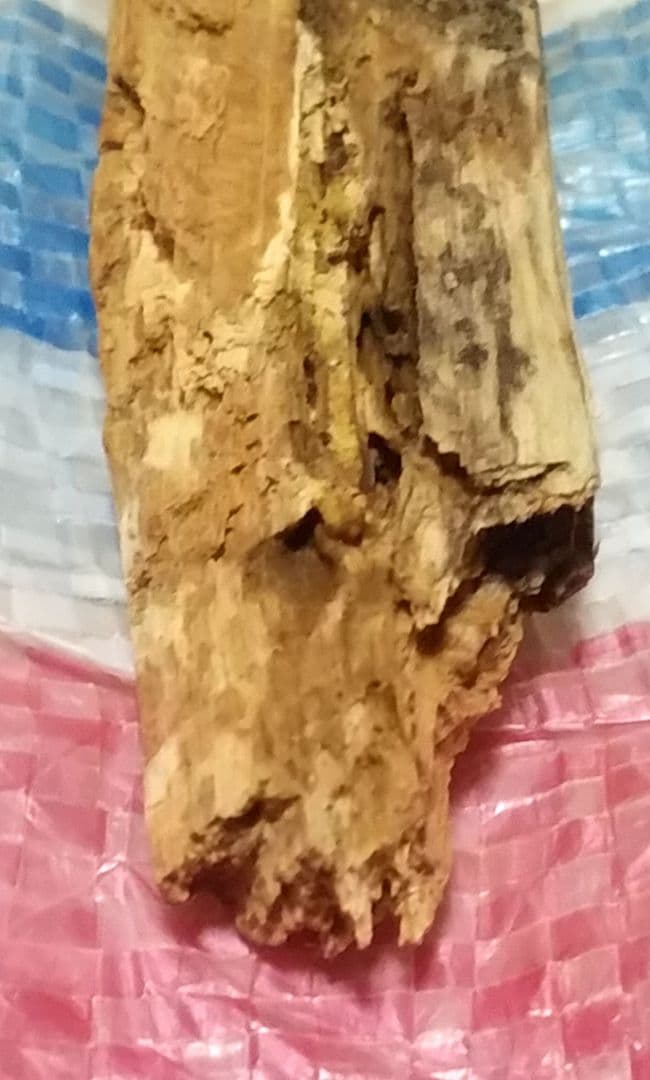 骨董品　天然　香木　伽羅原木　ラオス