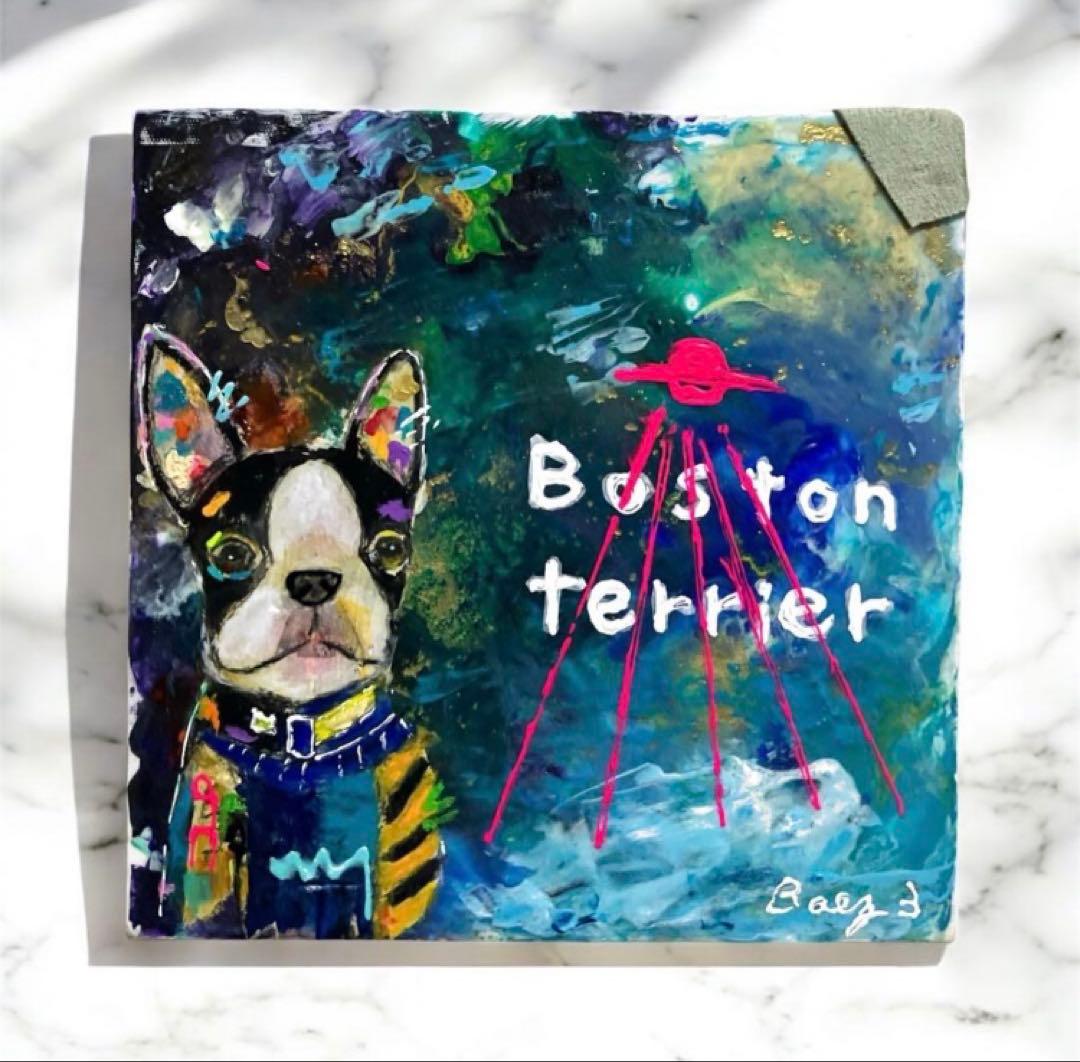 ボストンテリア　宇宙　犬　キャンバス　ポーリングアート　動物　BAEZ3