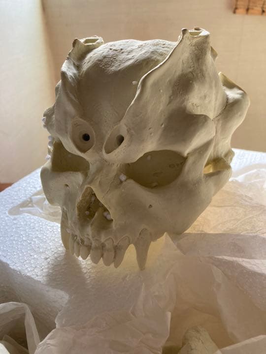 DEVILMANS'ＳKULL デビルマン スカルヘッド1/1