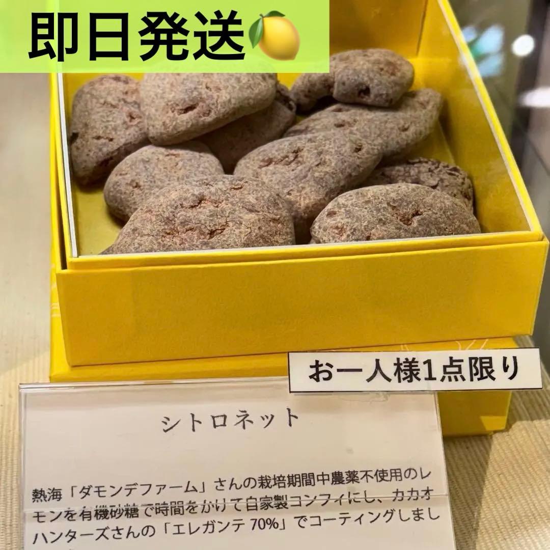 トラントロア 33 シトロネット サロショ 2026