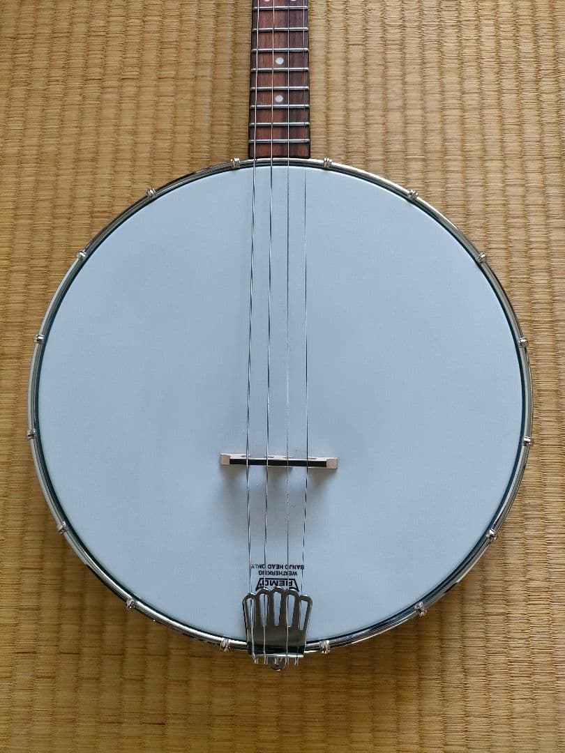 【美品】Gold Tone　AC-4IT　アイリッシュテナーバンジョー