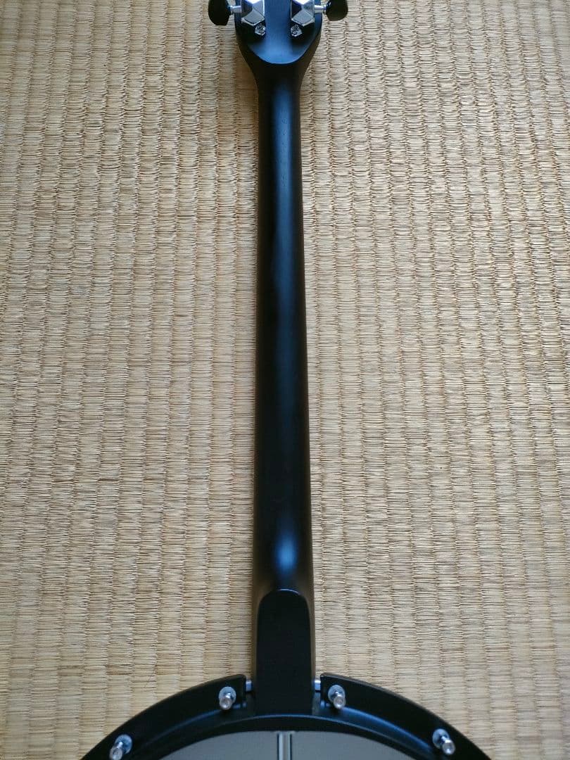 【美品】Gold Tone　AC-4IT　アイリッシュテナーバンジョー