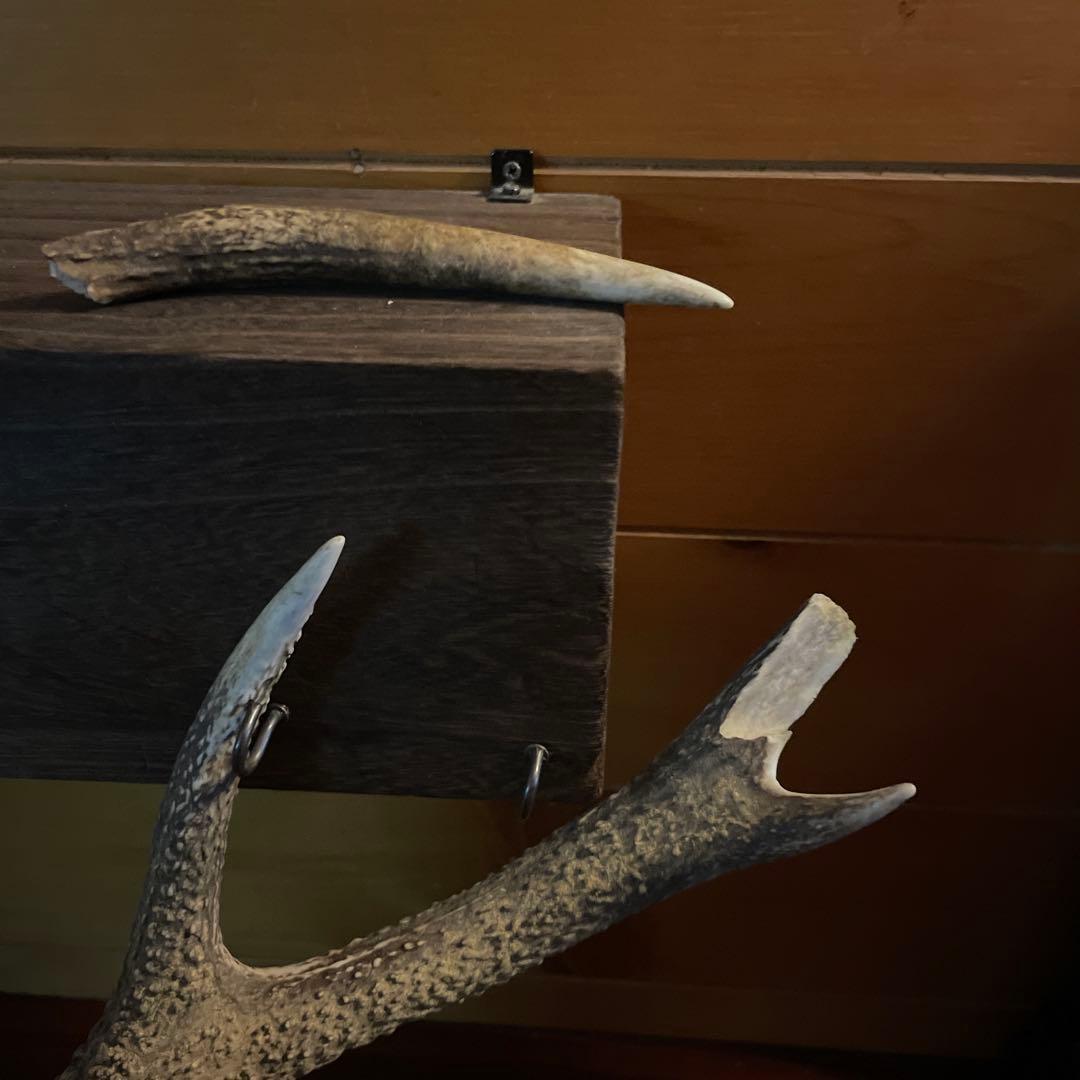 ひ*様 激レア美品　鹿の骨