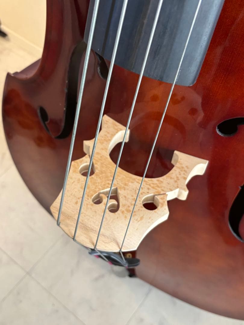 カルロジョルダーノ SB-150 ソフトケース付き　（直接取引限定）