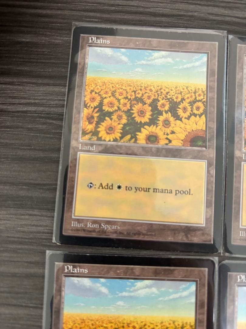 MTG APACランド 平地 ひまわり 6枚セット