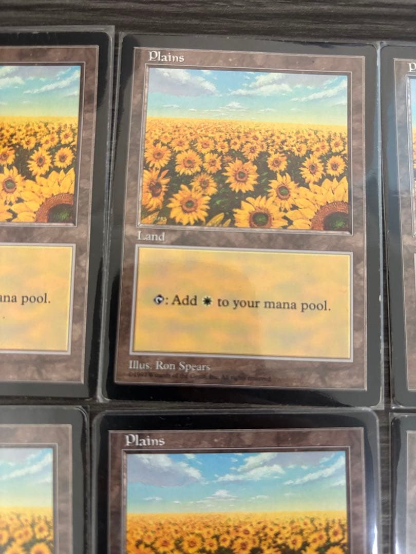 MTG APACランド 平地 ひまわり 6枚セット