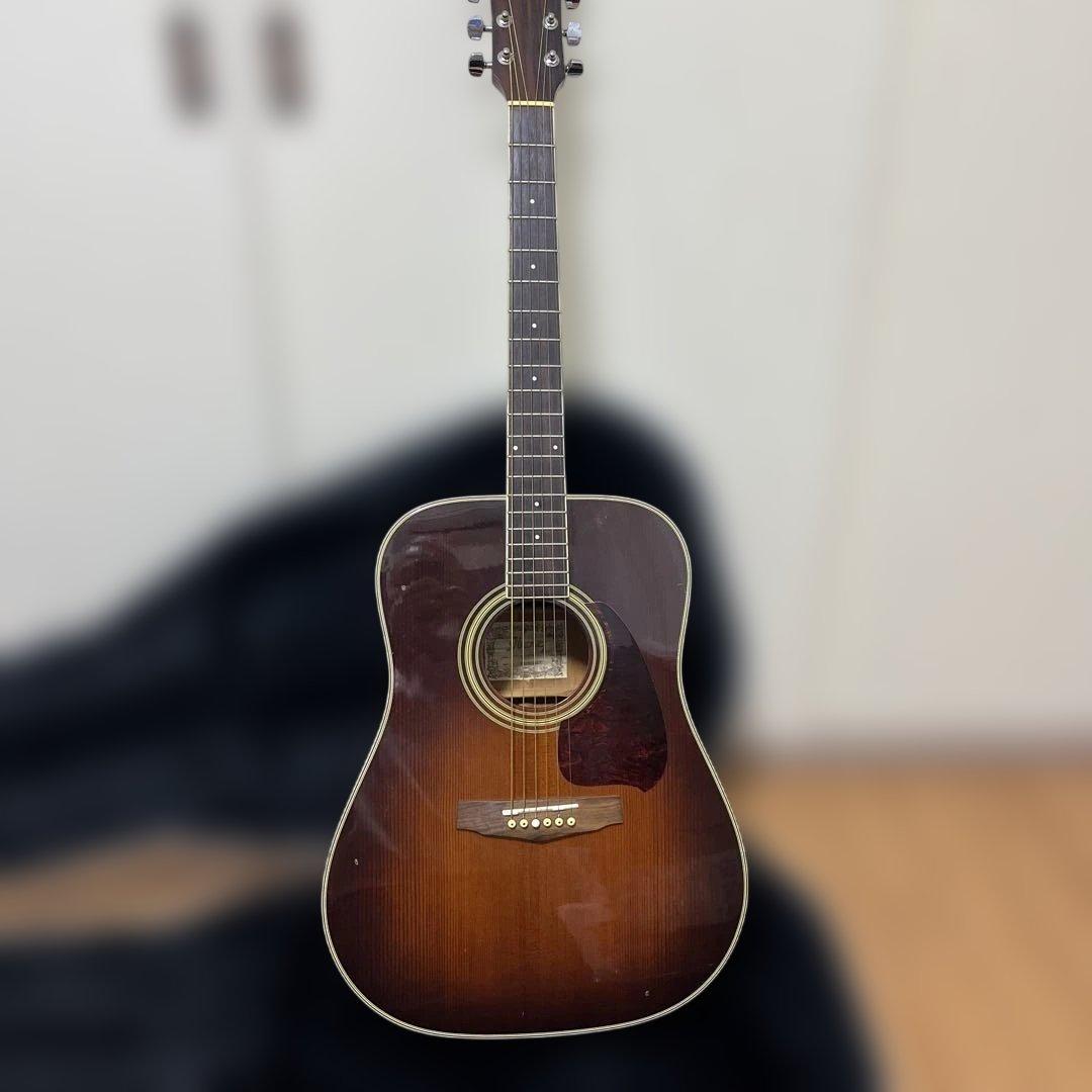 Ibanez Performance PE-15TV ハードケース付