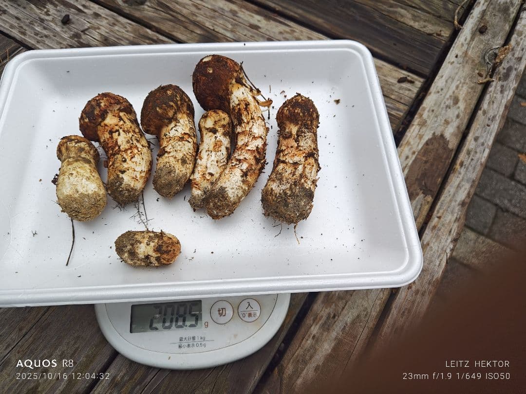 信州産きのこ3セット！！