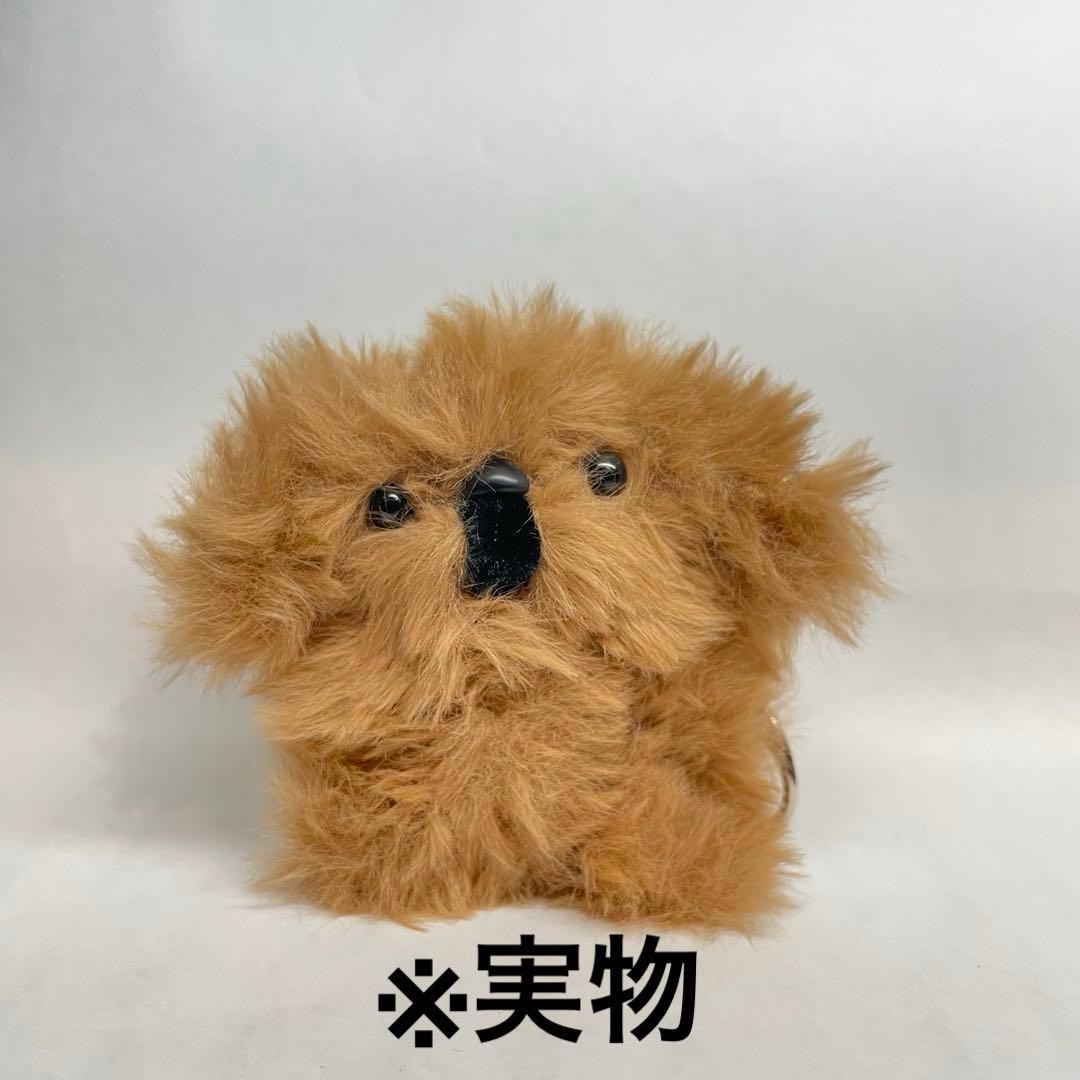 【専用出品】ぽっちゃん様