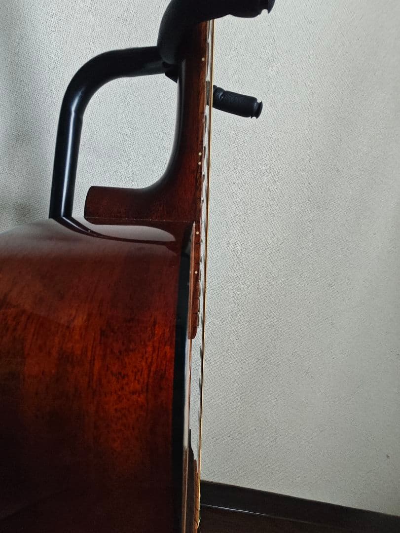 Aria Dreadnought-25N アコースティックギター