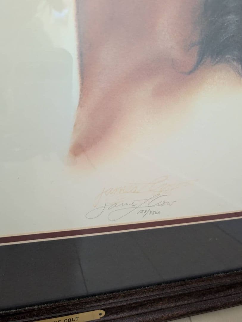 馬の肖像画 ダークブラウンフレーム　158/3500