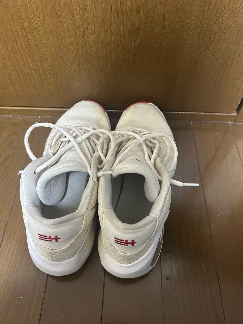 シューズ(男性用) NIKE freak1