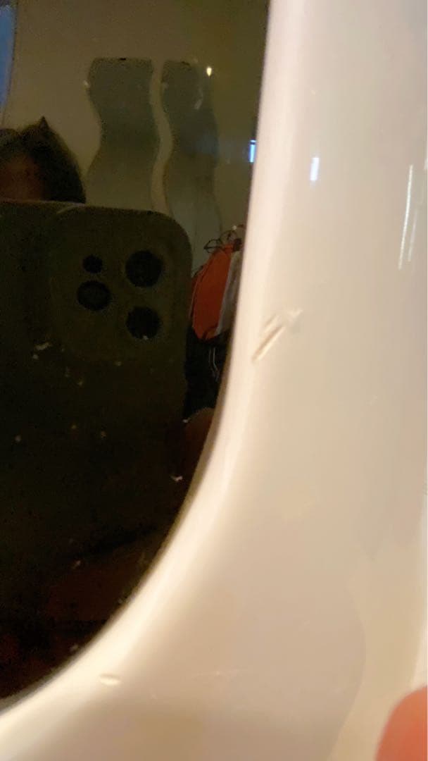 【わんとも】ペット用バスタブ