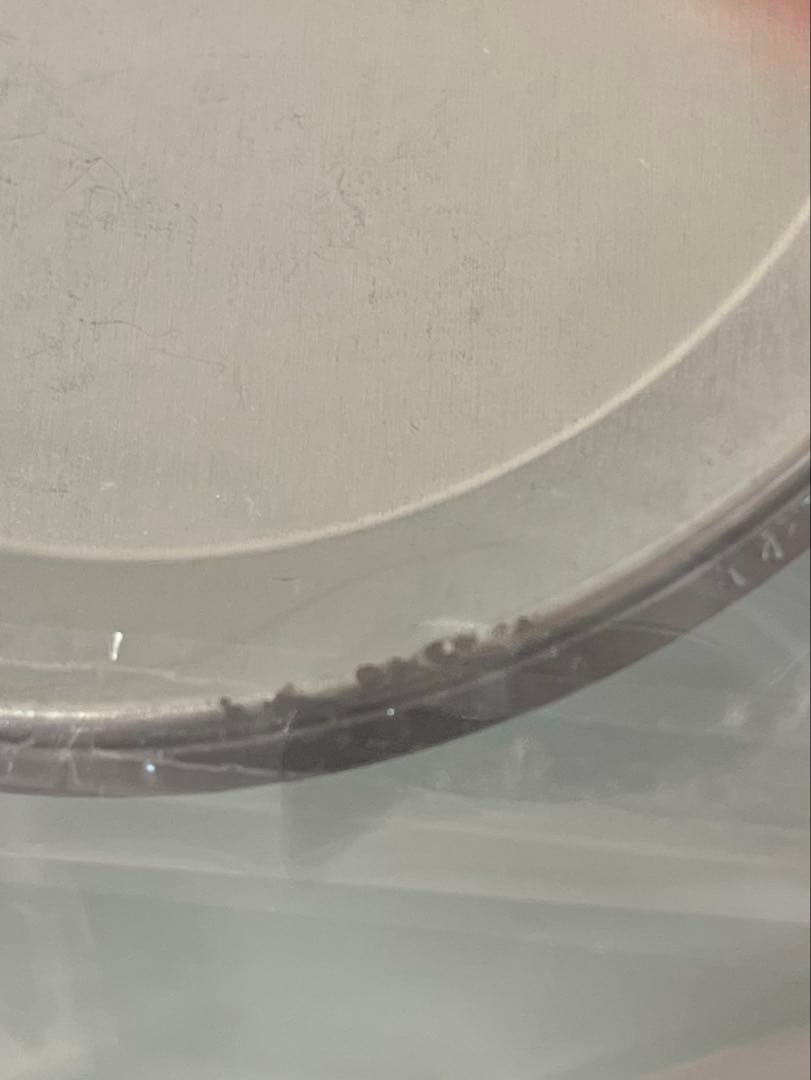 進撃の巨人 WIT Studio 原画 ビッグ缶バッジ リヴァイ 15枚セット