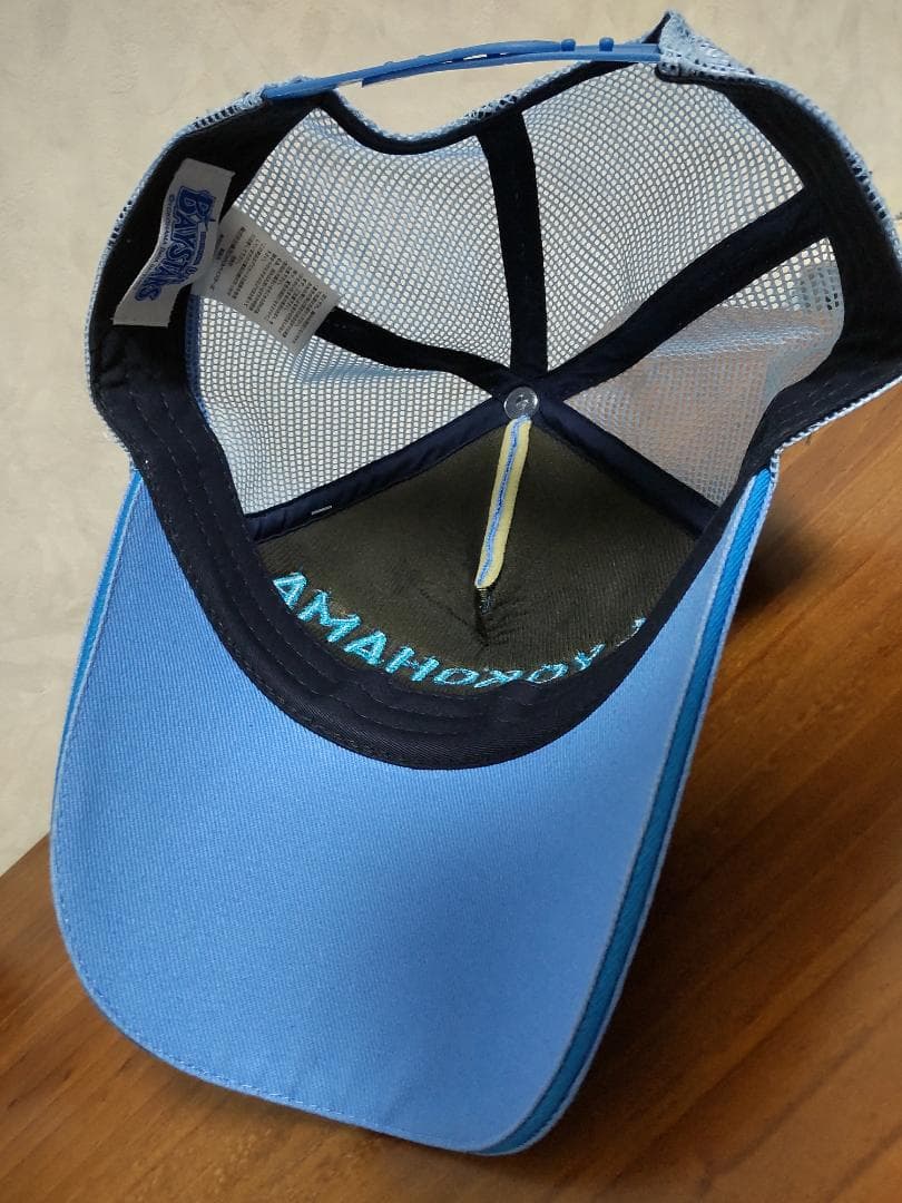 #18 山﨑康晃選手 直筆サイン CAP ルーキー 沖縄キャンプ スローガン入り