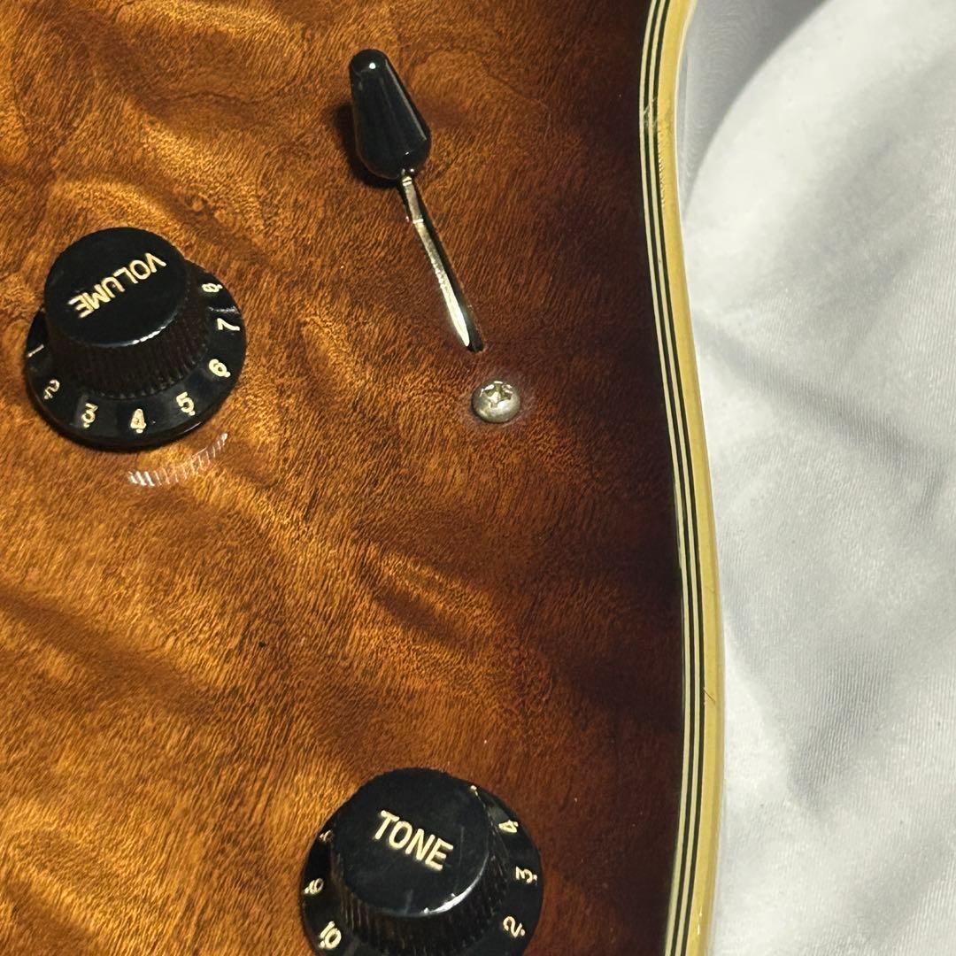 【希少モデル・美品】Ibanez RG198QM エレキギター