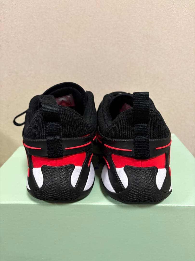 Jordan バスケットシューズ 赤/黒