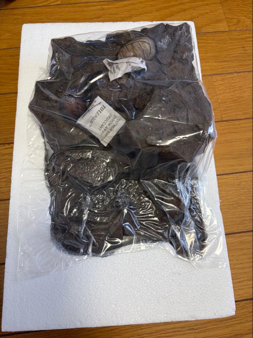 アヌビス フィギュアTBLeague(TBリーグ)