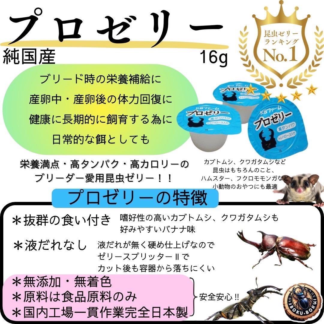 国産プロゼリー6000個KBファーム・カブトムシ　クワガタ 【木ぼく】