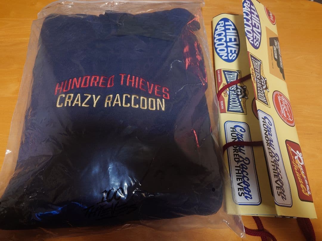 ALGS year5 CS 2026 CRT パーカー