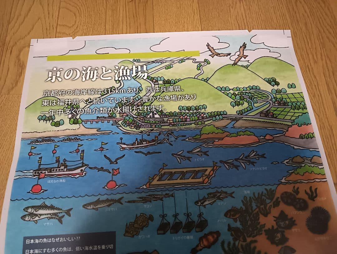 魚　ポスター　漁方
