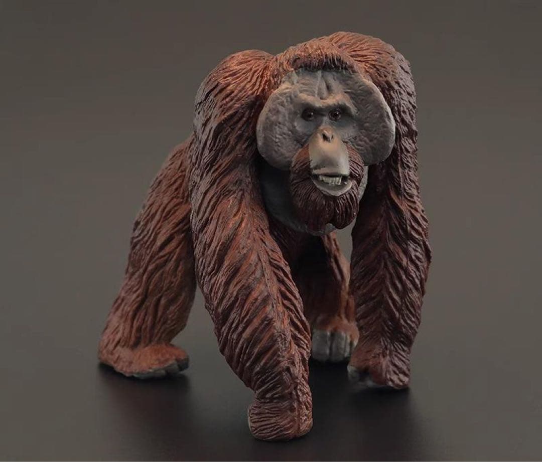 オランウータン フィギュア あさひやま動物園