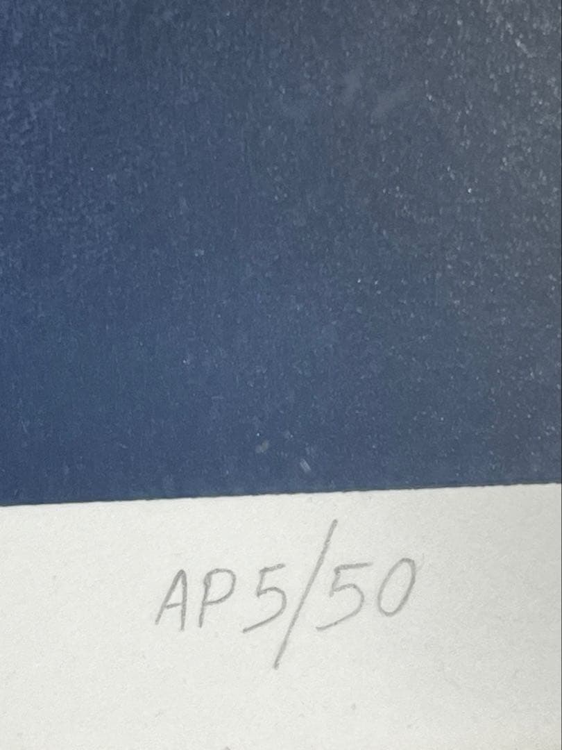 【希少価値の黒豹】シムシメール 「未来を探し求めて」美品 ジークレー 絵画 AP