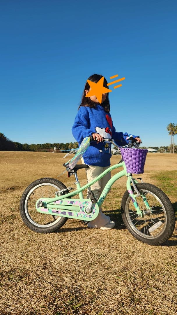 ELECTRA SPROCKET 16\" エレクトラビーチクルーザー