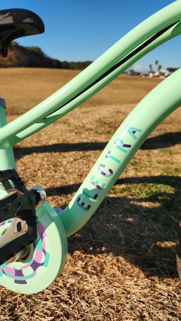 ELECTRA SPROCKET 16\" エレクトラビーチクルーザー