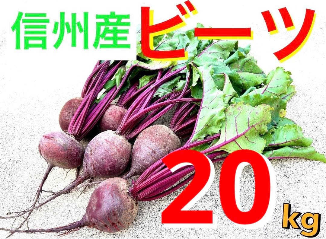 【信州産ビーツ】20kg 【有機肥料使用・化学農薬不使用】