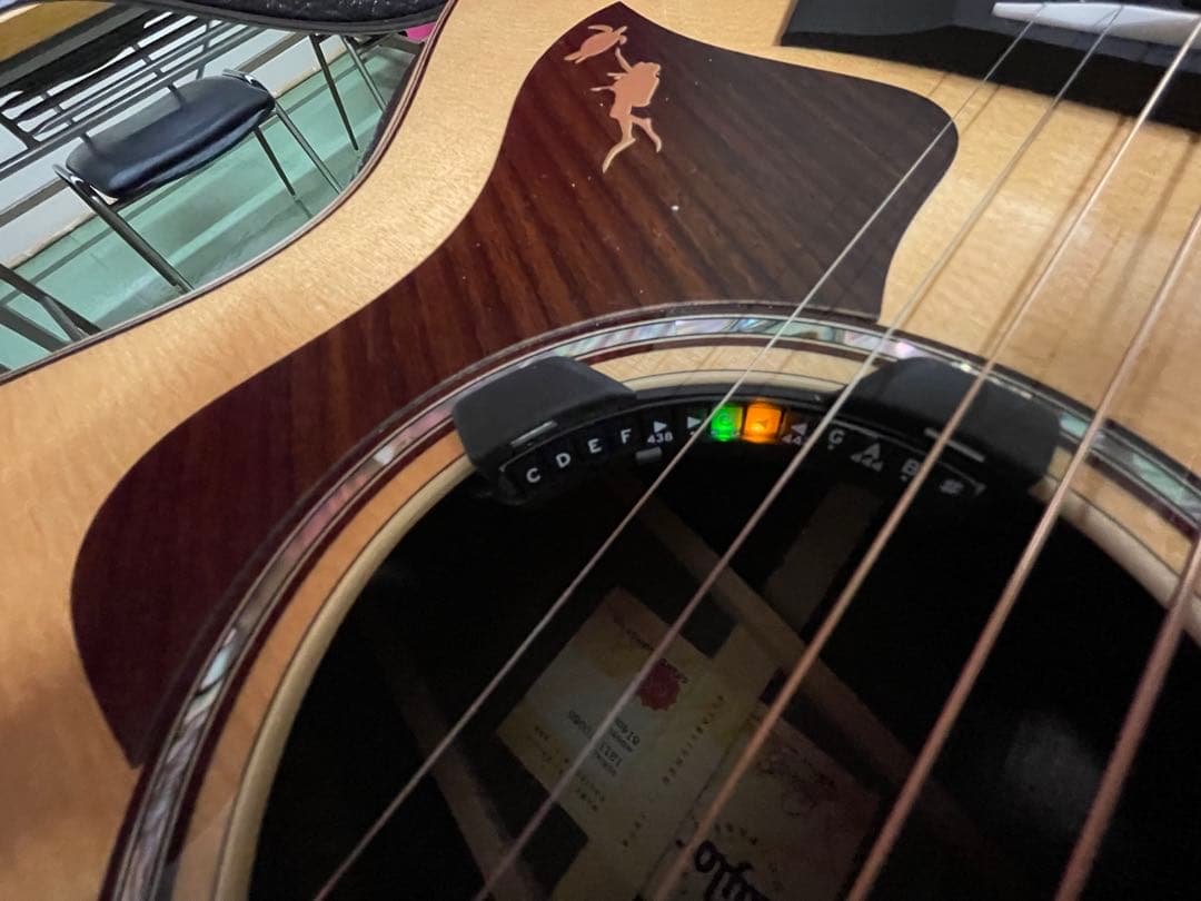 Taylor 814CE V-class J-Spec (特別仕様) オマケ付