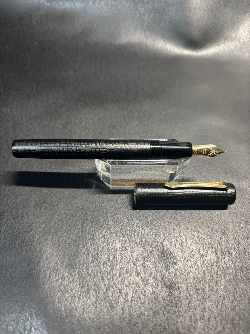 パイロット廃盤漆石目細字F