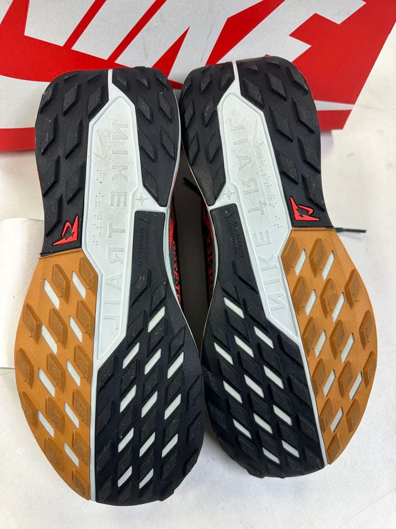 29センチNIKE GORE-TEX PEGASUS TRAIL 5 GTX