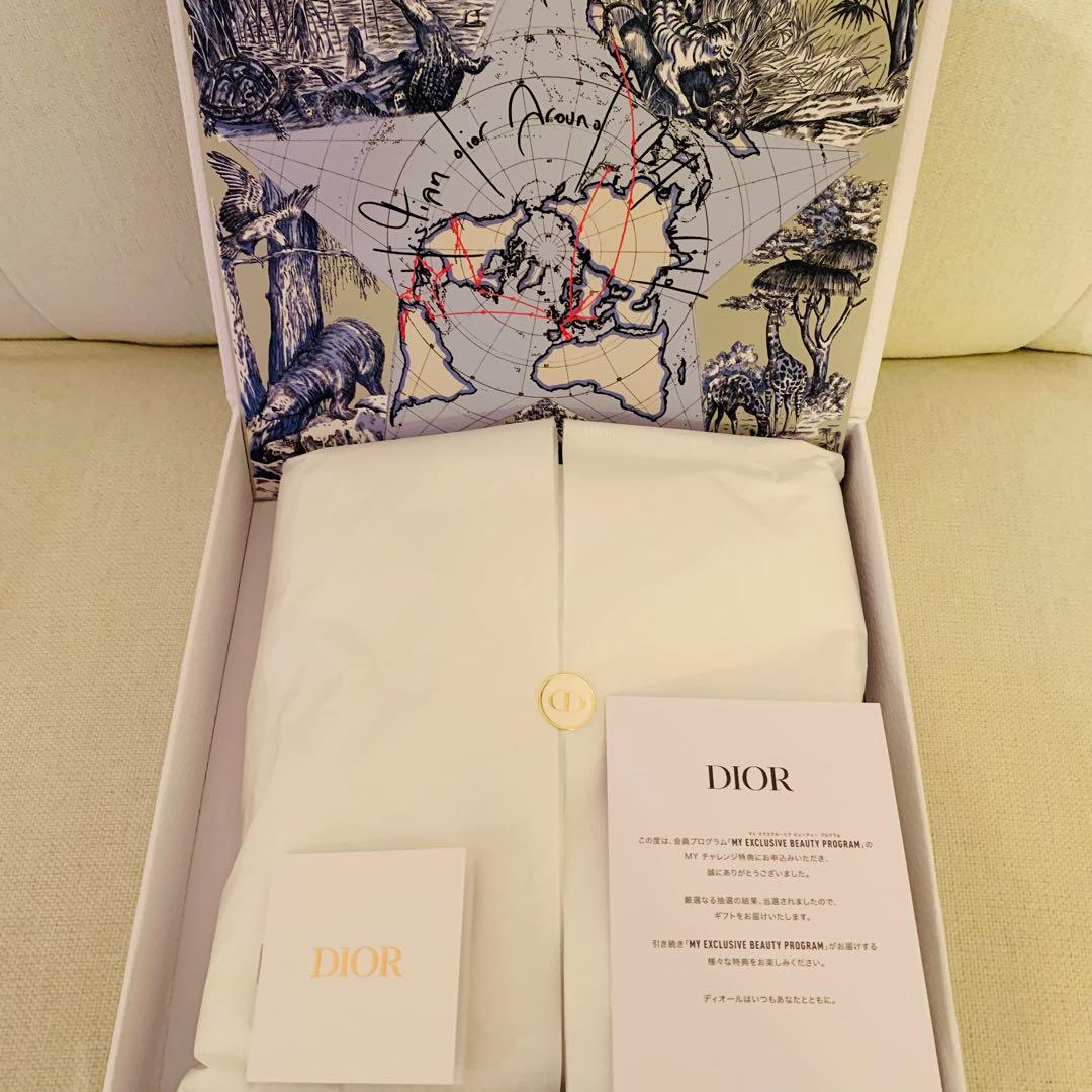 Dior マイチャレンジ パズル