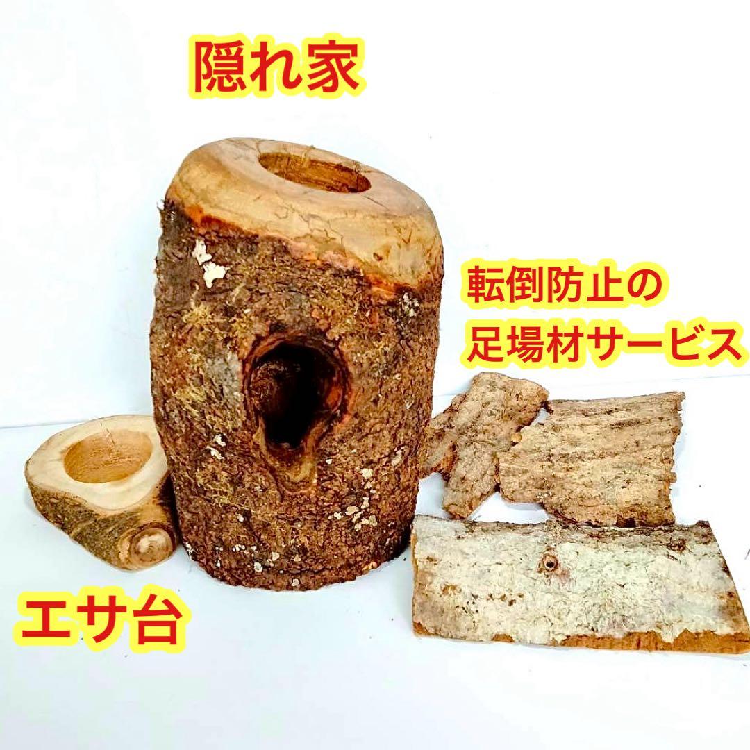 あ様 リクエスト 2点 まとめ商品　隠れ家　樹洞　クワリウム　エサ皿　クワガタ