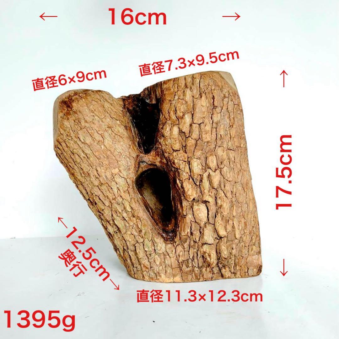 あ様 リクエスト 2点 まとめ商品　隠れ家　樹洞　クワリウム　エサ皿　クワガタ