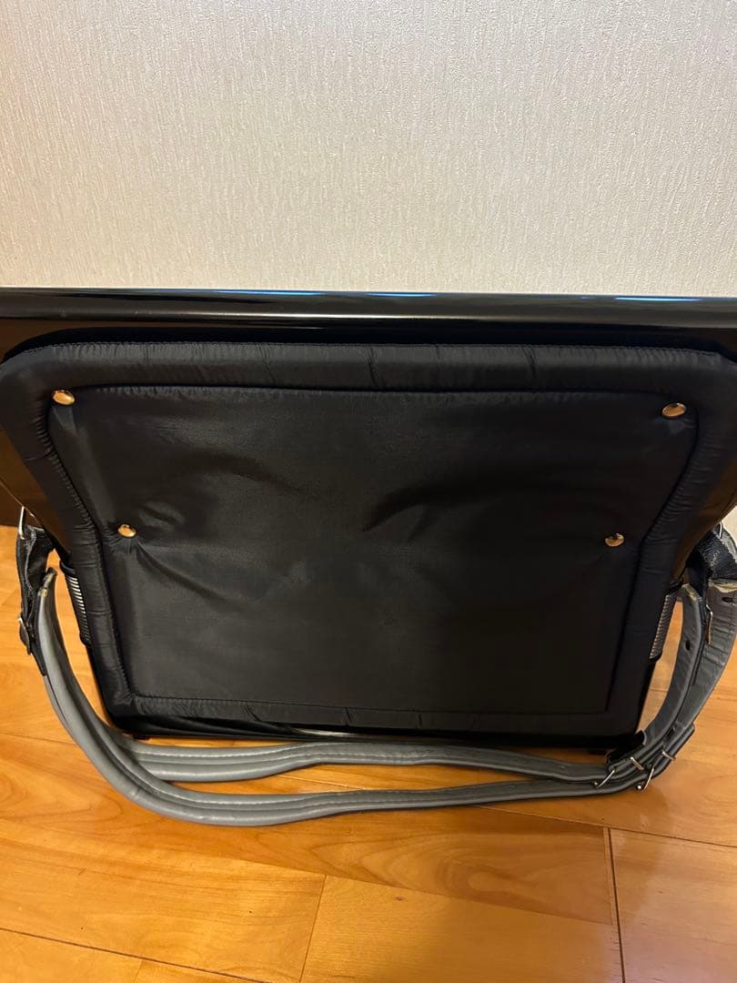 EXCELSIOR308 ピアノアコーディオン 41鍵120ベース