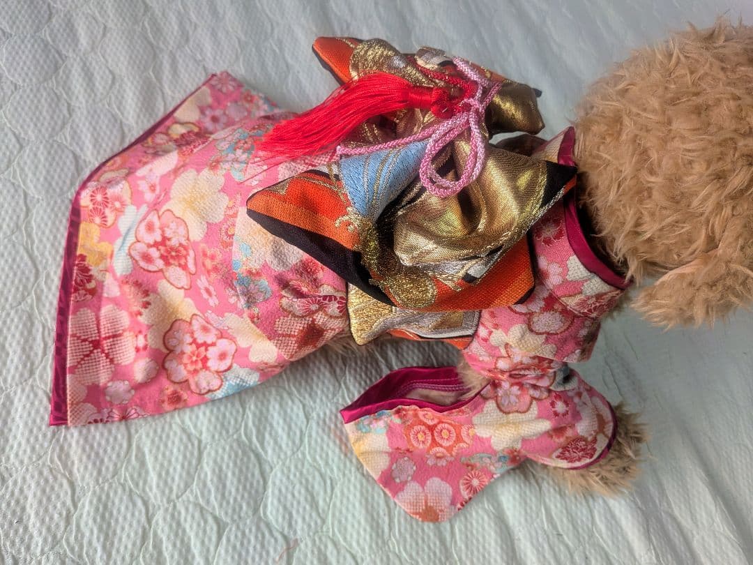 サ*コ様 ラスト★現品★Ｓピンク地にちりめん風桜柄の着物に本物黒地に金他帯の晴れ