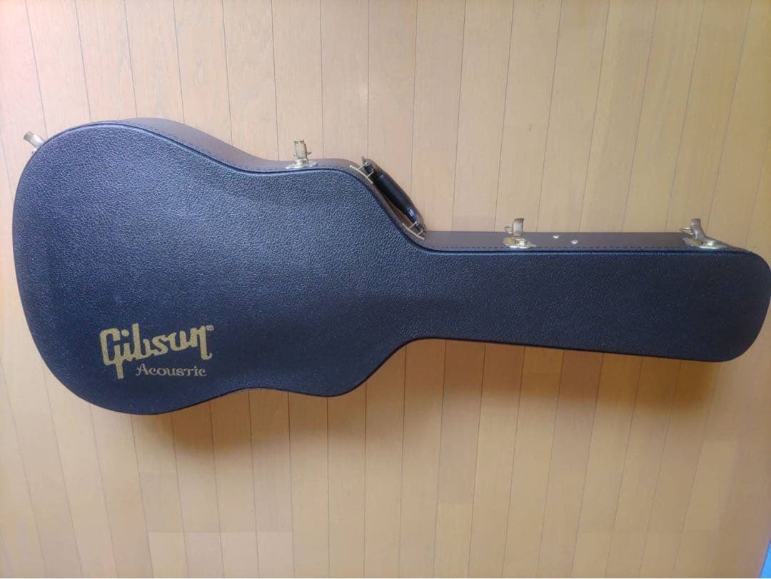 美品希少品　Gibson Dove custom2015年製