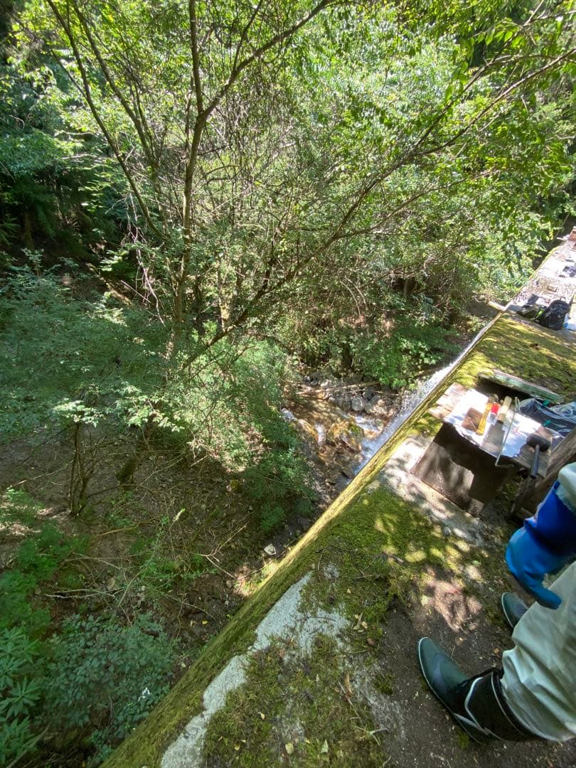 はちみつ　日本蜜蜂のハチミツ　奥山の奥の蜂蜜