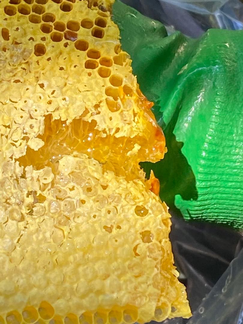 はちみつ　日本蜜蜂のハチミツ　奥山の奥の蜂蜜