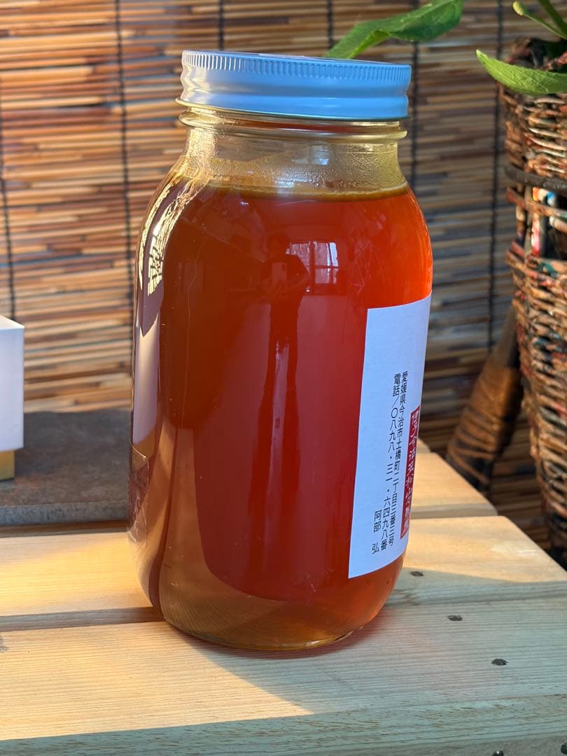 はちみつ　日本蜜蜂のハチミツ　奥山の奥の蜂蜜