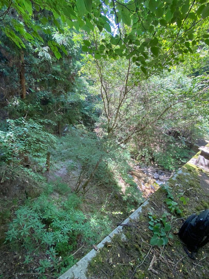 はちみつ　日本蜜蜂のハチミツ　奥山の奥の蜂蜜
