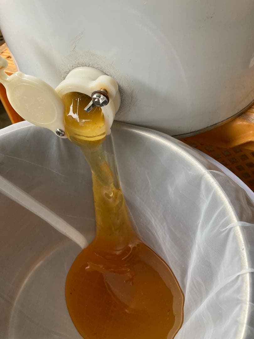 伊豆産 国産 非加熱 サクラ蜜4本と夏の百花蜜 １本　300g×５本セット