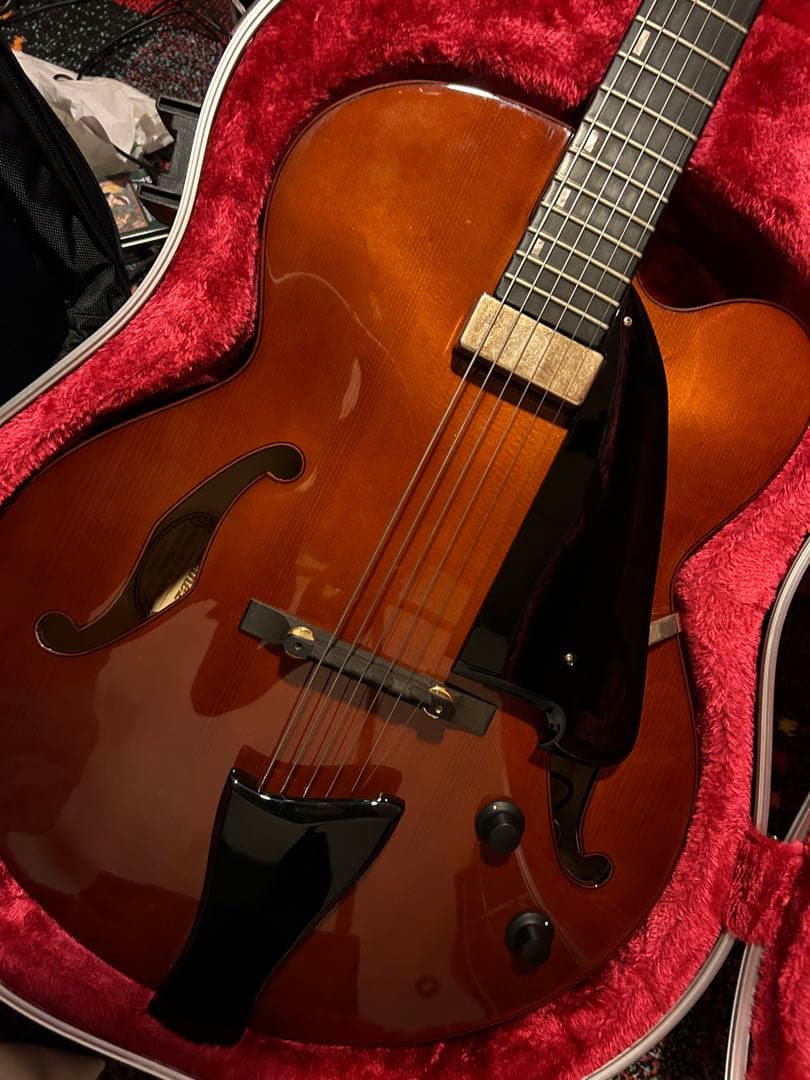 Ibanez フルアコ AFC-151 (ハードケース付き)