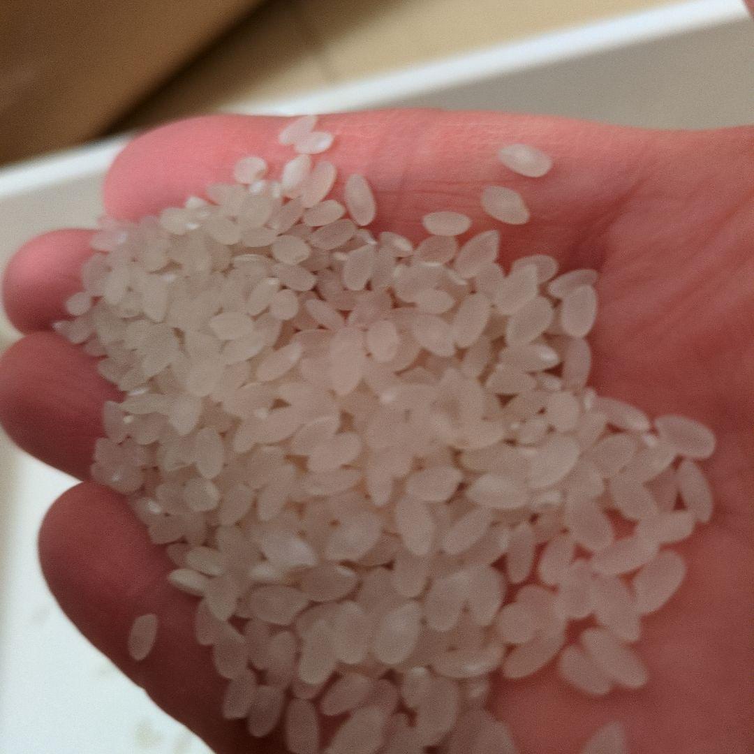 秋田県産、あきたこまち令和７年産、 玄米1４キロ